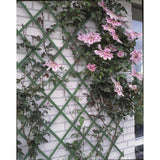 Rack d'escalade de plante naturel 100x200 cm PVC vert 6040704