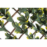 Nature Nature Latwerk With California Liguster Green and Yellow Tade 90x180 CM