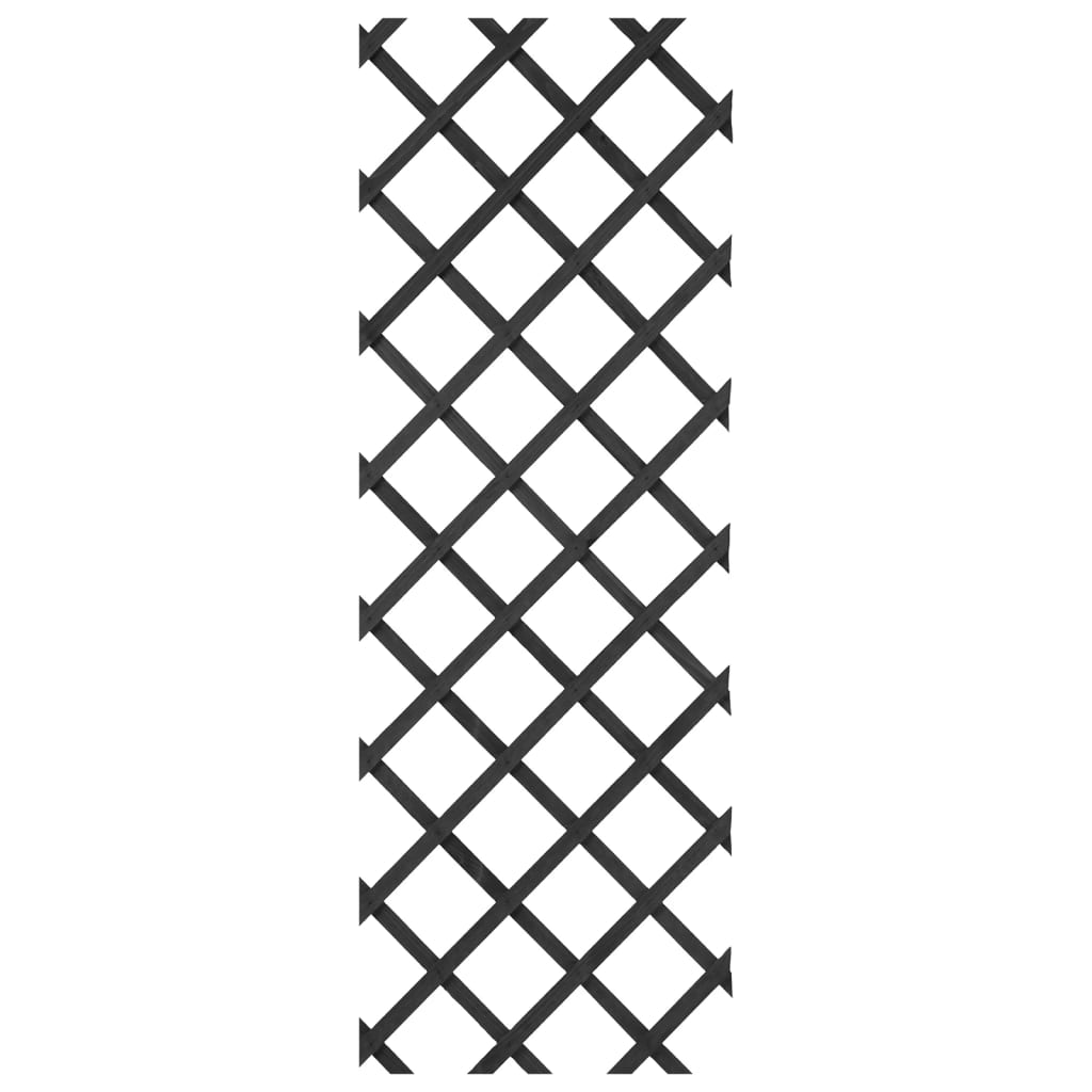 Nature Nature garden slat work 50x150 cm wood anthracite -colored