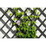 Nature Garden Slat Travail 50x150 cm Anthracite en bois -colore