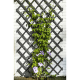 Nature Garden Slat Travail 50x150 cm Anthracite en bois -colore