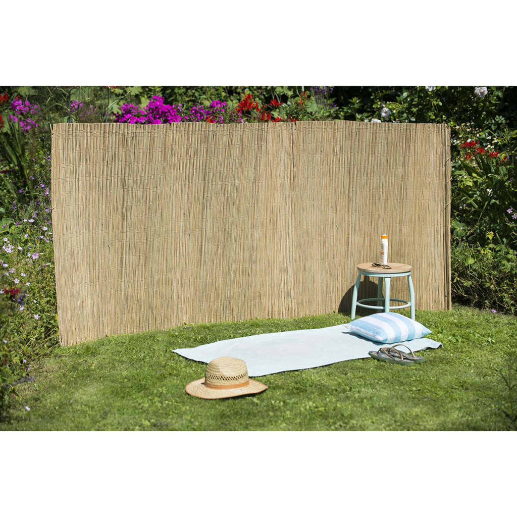 Écran de jardin nature 1x3 m Zeggeriet