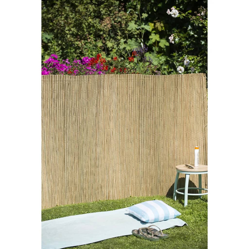 Écran de jardin nature 1,5x3 m Zeggeriet