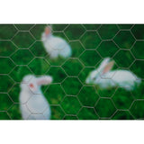 Nature Mesh hexagonale 1x10 m 25 mm Acier galvanisé