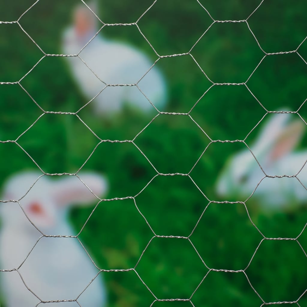 Nature Nature mesh hexagonal 1x10 m 40 mm galvanized steel