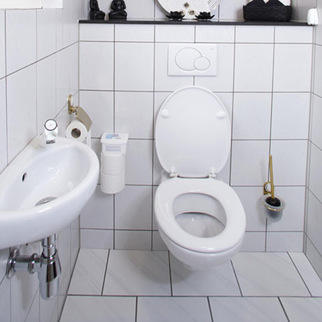 Hg nettoyant pour toilettes écologique
