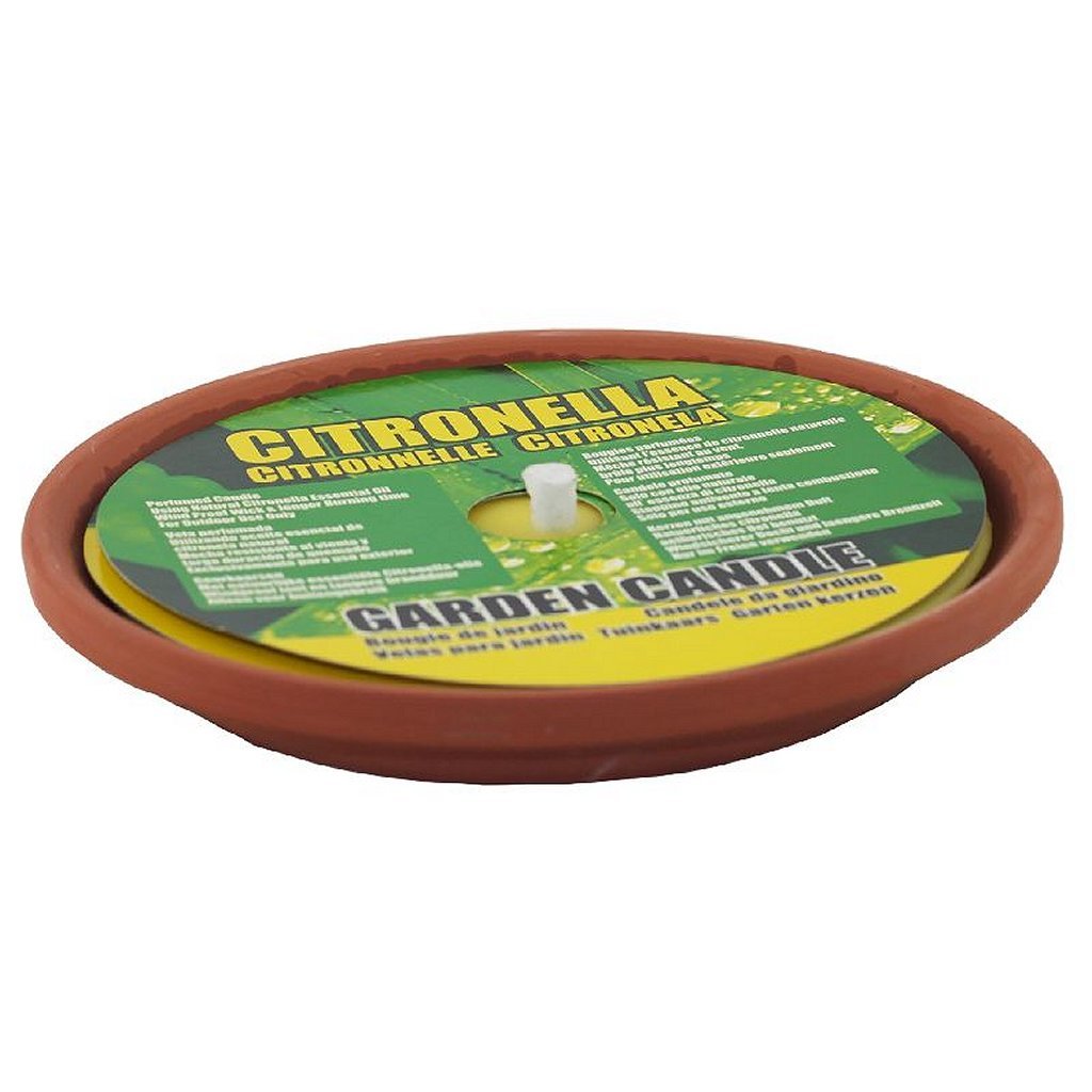 Bougie basique à la citronnelle dans un bol en terre cuite 14,5 cm