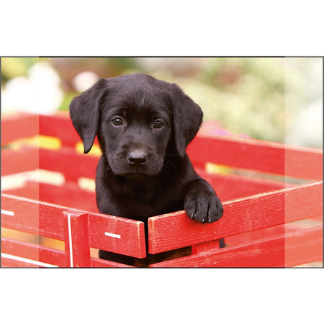 Kangaro sous-main chiot labrador noir 38x58cm