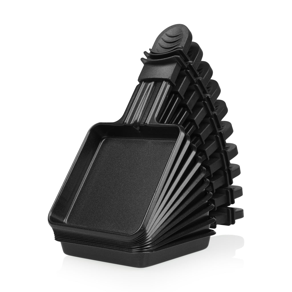 Princess Raclette 10 Set Gourmet