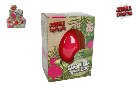 Expédition dans la jungle œuf avec flamant rose en croissance