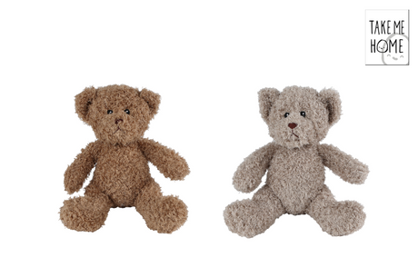Ramène-moi à la maison ours en peluche 2cul 25 30cm