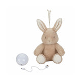Son lumineux du petit lapin câlin hollandais