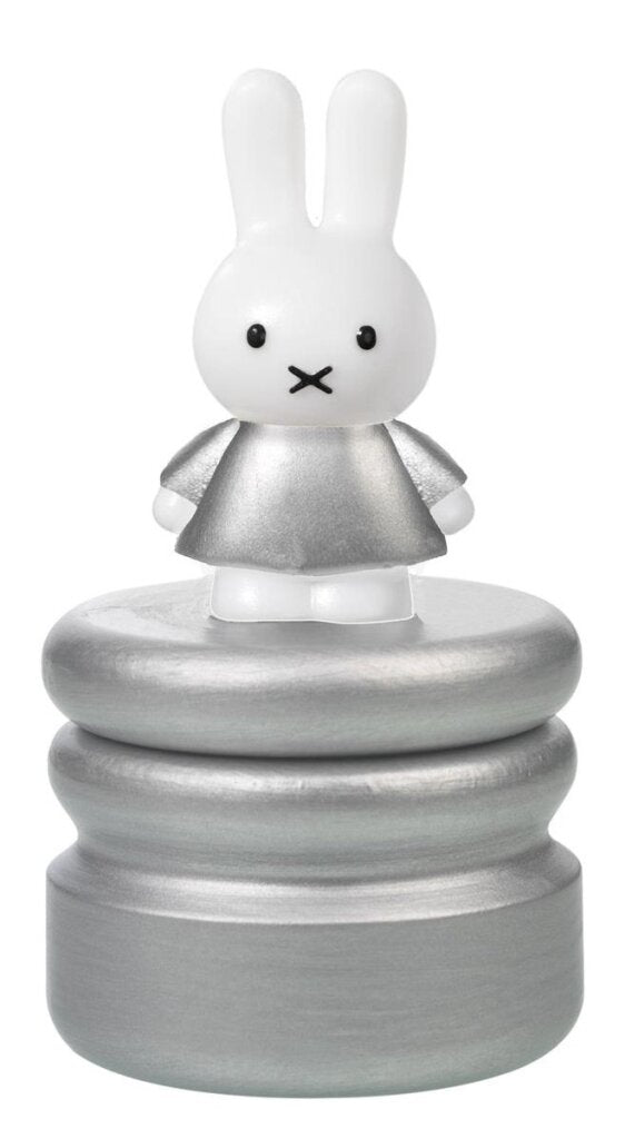 Bambolino jouets Miffy boîte à dents de bébé argent