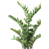 Emerald emerald kunstplant zamioculcas groen 110 cm 11.662c