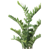 Plant d'art émeraude Zamioculcas Green 110 cm 11 662C