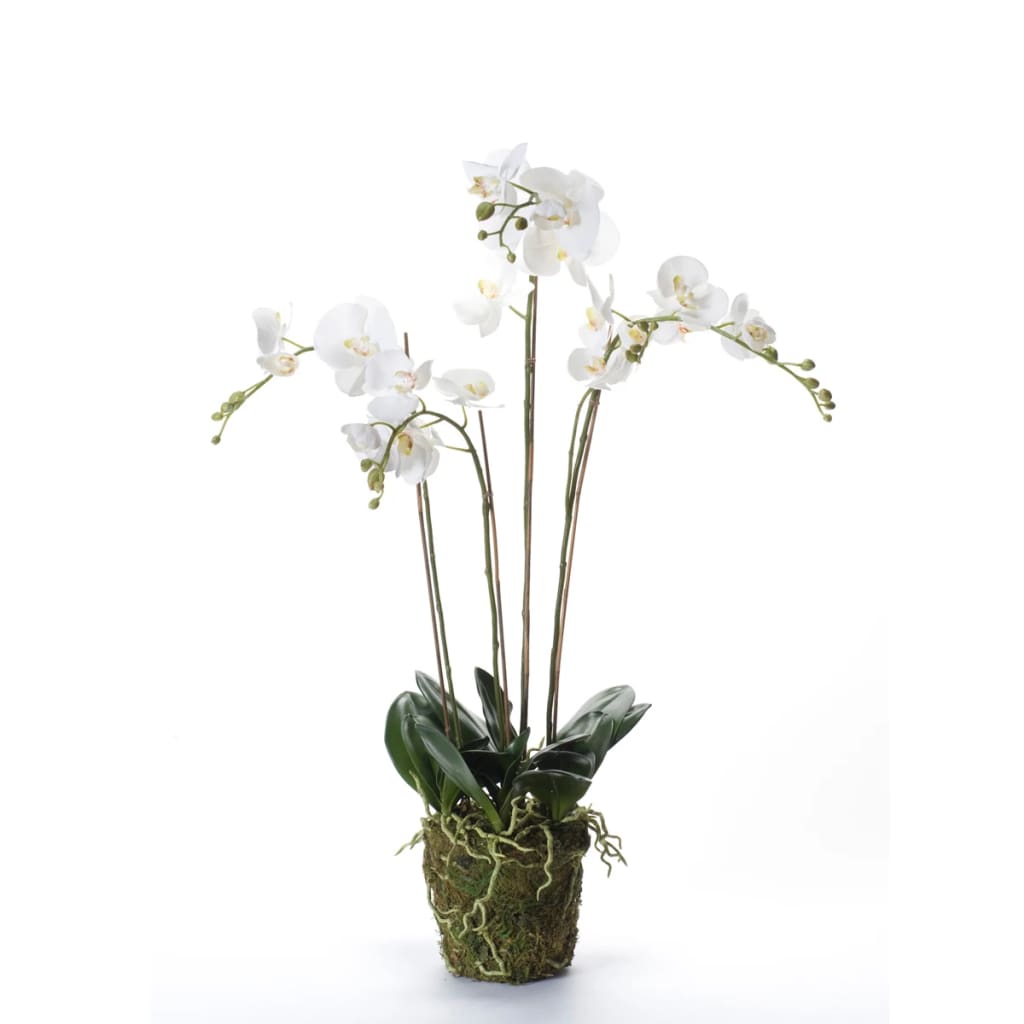 Émeraude Emerald Art Plant Orchid avec Moss White 90 cm 20,355