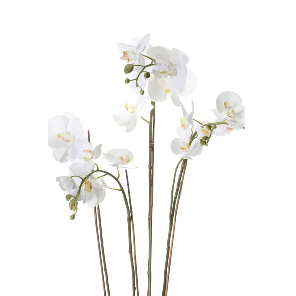 Orchidée de plante d'art émeraude avec de la mousse blanche 90 cm 20,355