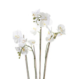 Émeraude Emerald Art Plant Orchid avec Moss White 90 cm 20,355