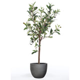 Emeraud Emerald Art Plant Olive Tree Mini 65 cm