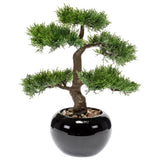 Plant d'art émeraude Ceder Bonsai Green 34 cm 420001