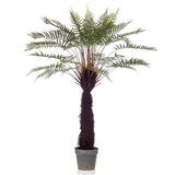 Emeraud Emerald Art Plante dans Pot Boom Fern 125 cm