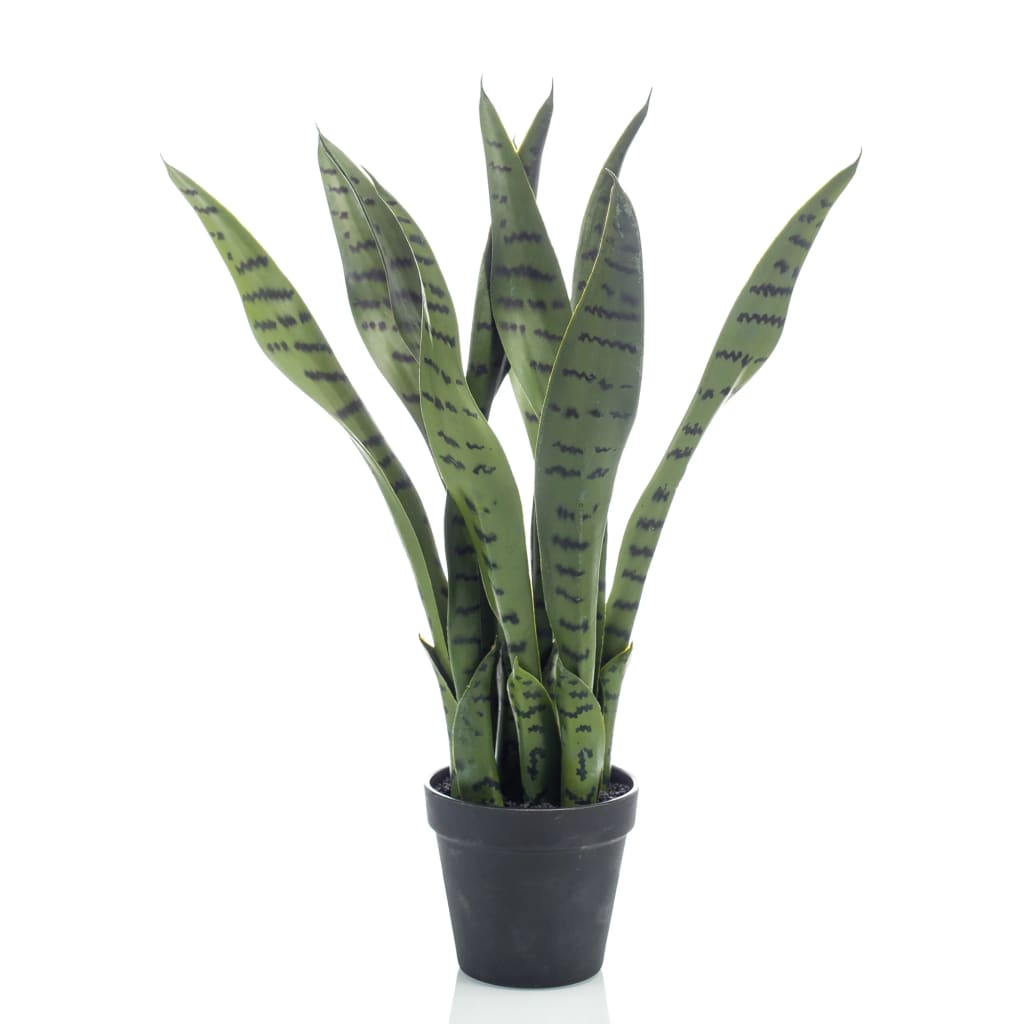 Emerald Emerald Art Plant Sansevieria dans Pot 55 cm