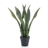 Plant d'art émeraude Sansevieria en pot 55 cm