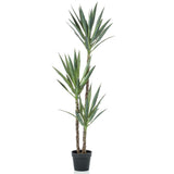 Emeraud Emerald Art Plante en pot Yucca 150 cm