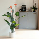 Emerald Emerald Art Plant med gryde og blomster Strelitzia 120 cm