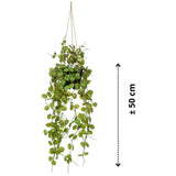 Plante artificielle émeraude suspendue dans une plante de lanterne en pot 50 cm