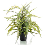 Plante artificielle émeraude dans le pot en plastique Boston Fern 70 cm