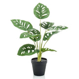 Emerald Emerald Art Plante à Pot Monkey Monstera Struik 43 cm