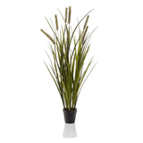 Emeraud Emerald Art Plante dans Pot Cat Tail Grass 85 cm