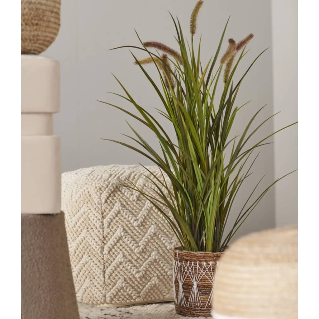 Emerald Emerald Art Plante dans Pot Cat Tail Grass 100 cm