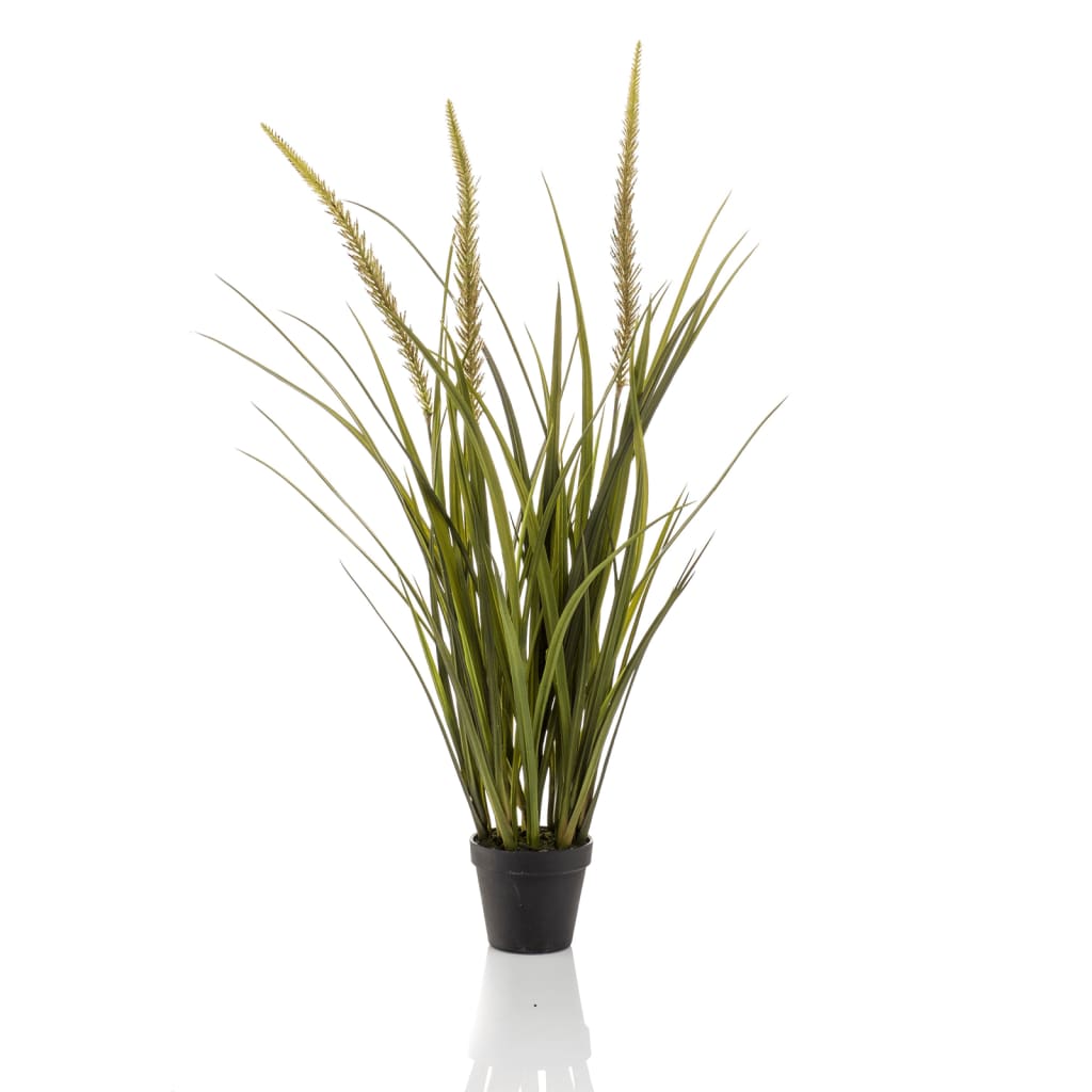 Emeraud Emerald Art Plante en pot Vossenstaartgras 90 cm