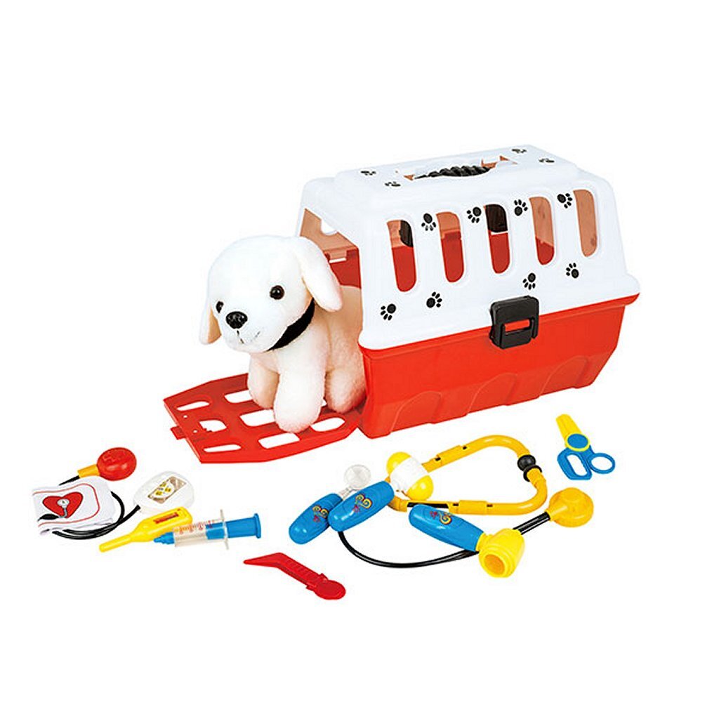 Cucciolo di toi-toys nel cestino da viaggio + accessori veterinari