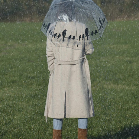 Esschert parapluie design oiseaux sur fil 83 cm transparent noir