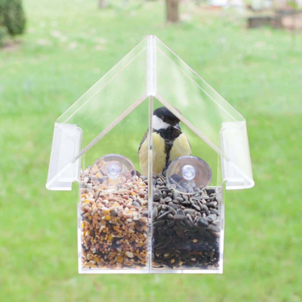 Maison d'alimentation de la conception Esschert devant la fenêtre à double acrylique