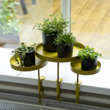 Esschert Design Plant Blad avec pince autour de L de couleur or