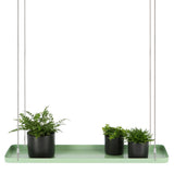 ESSCHERT DESIGN PLANT lame suspendue rectangulaire L vert