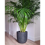 Capi Planter Wash lisse 43x41 cm gris