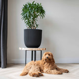 Groove de planter Capi 35x34 cm noir