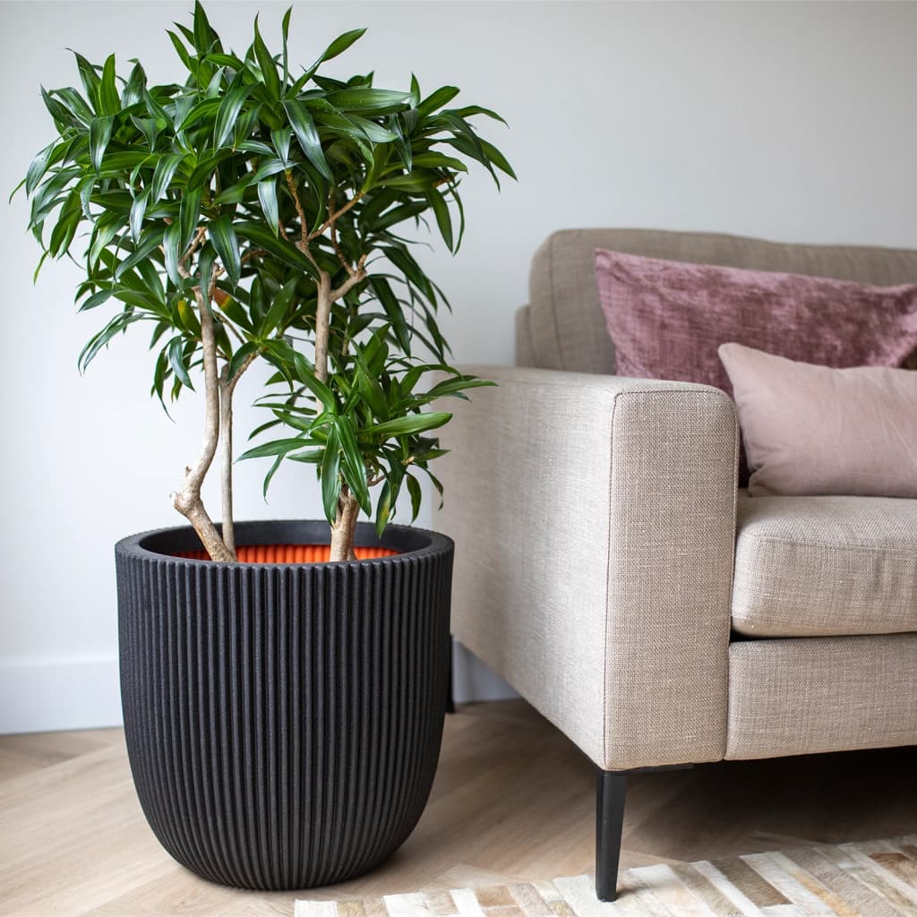Groove de planter Capi 35x34 cm noir