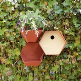Capi Birdhouse Hive 1 trou rond 19x23x20 cm brun