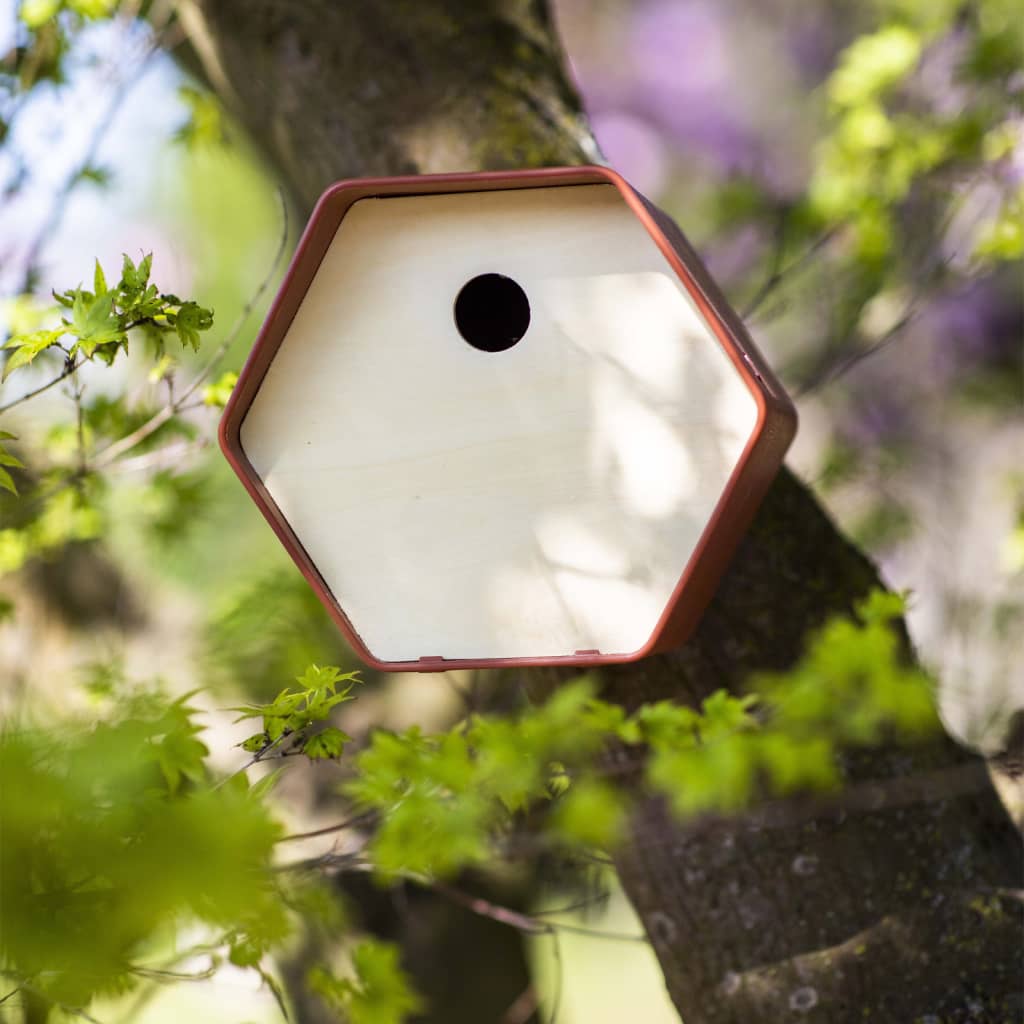 Capi Birdhouse Hive 1 trou rond 19x23x20 cm brun