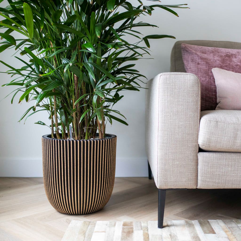 Groove Planter Capi 35x34 cm de couleur noire et or