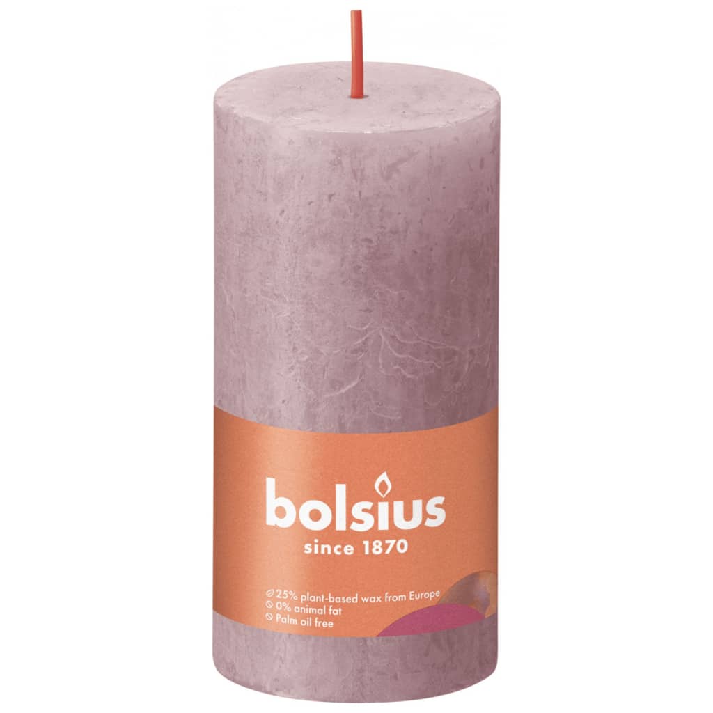 Bolsius Bolsius Stollen Shine 8 St Rustic 100x50 mm Ash Rose