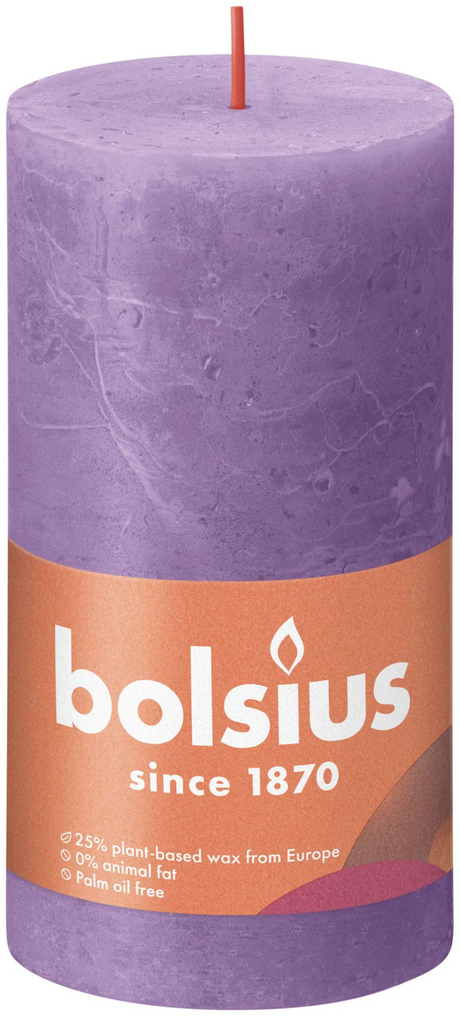 Bolsius | 4 pièces