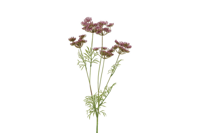 Countryfield kunstbloem anethum paars 80cm