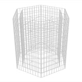 Vidaxl Gabion Pflanzer Insent Hexagonal 100x90x100 cm